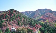 每天开心的活着句子