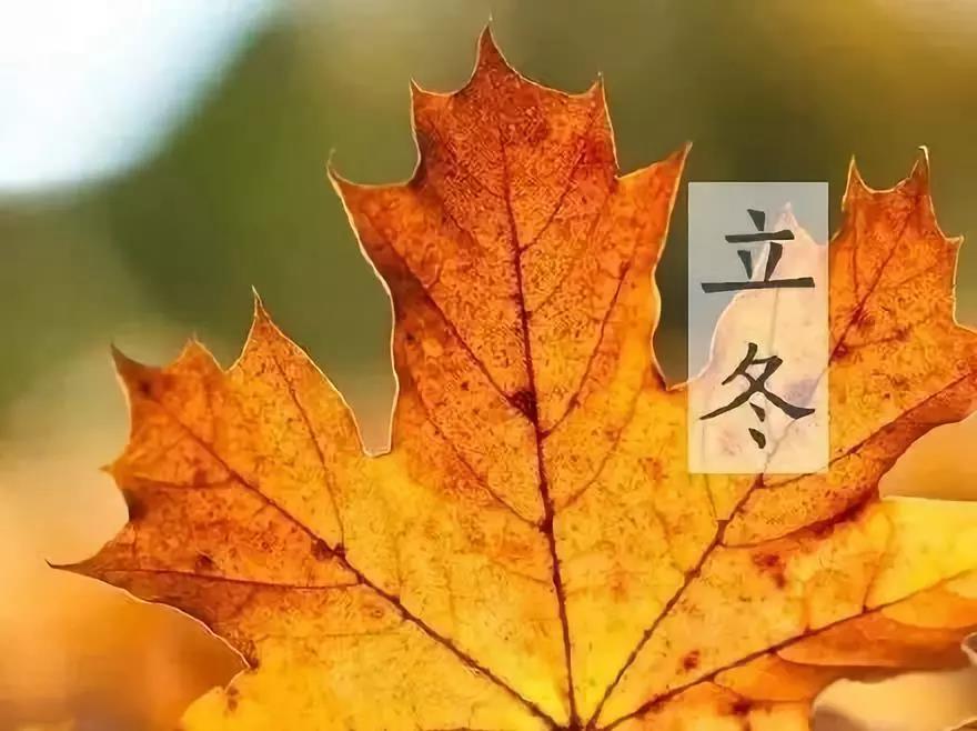 立东会谈大全情绪短语2020