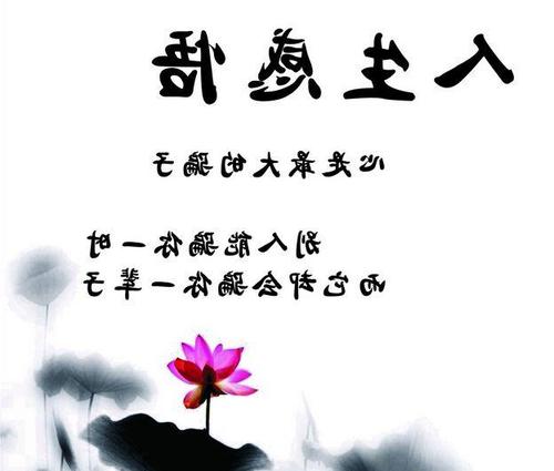 谈论70岁以后的情感生活