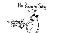 关于猫的谚语英文