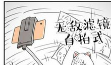 朋友圈晒猫搞笑句子2020