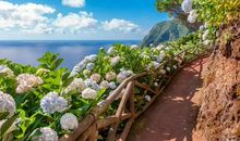 向往美好未来的句子