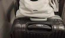 安慰人失恋的话