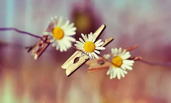 豆阴超级火疗句