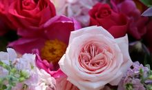 干净简短的励志句子