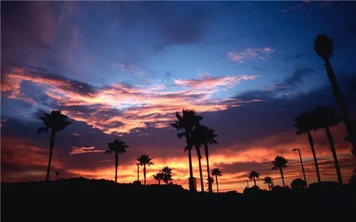 丈夫和儿子的文案写作