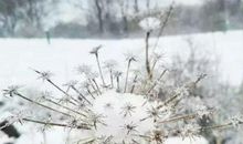 冬至说说心情句子