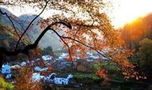 描写人开心愉悦的句子