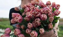 成熟而又有气质的说说