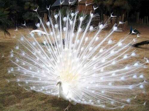 2016快乐感人的句子