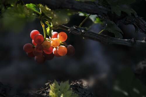 当她快乐的时候我快乐1