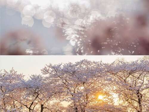 形容快乐太阳的句子1