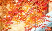 微商早安正能量