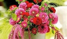 鲜花开放的语句