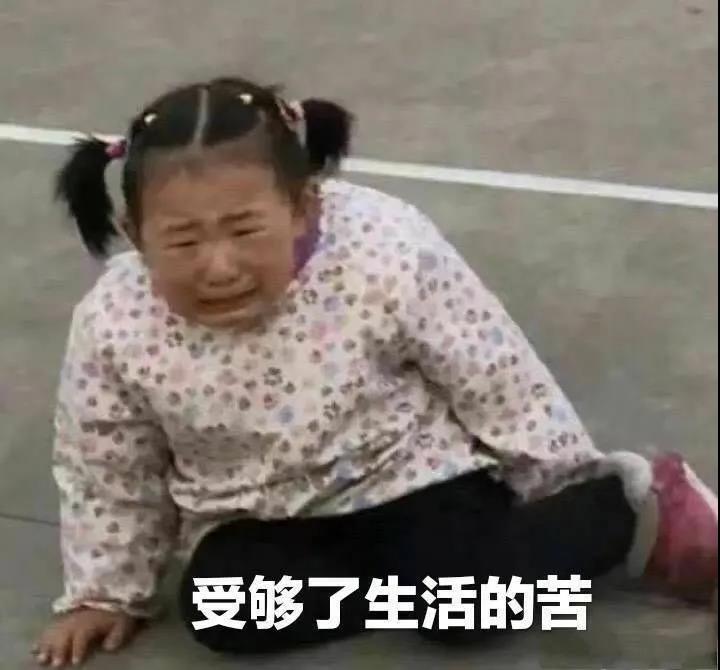 谈论朋友的傻圈子1