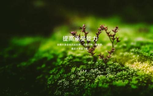 孕妇们欢呼雀跃的朋友圈