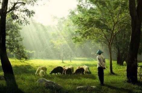 形容快乐的心2的好句子