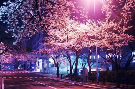 形容快乐的心的好句子1