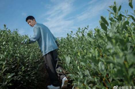 用好句子形容内心的幸福