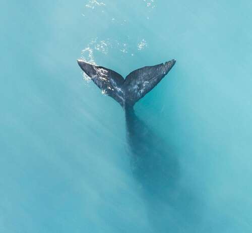 永远快乐的句子2