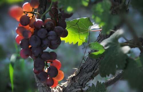 和孩子一起玩非常有趣的句子2