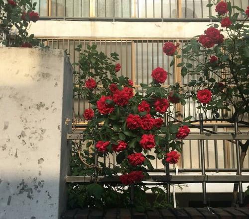 温柔的简短句子可以快速康复