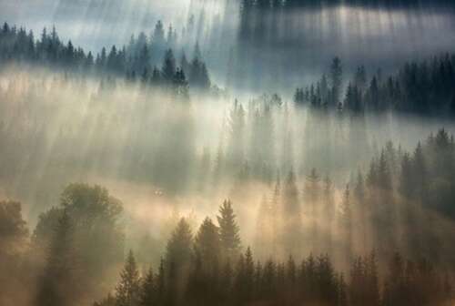 描述特别开心的句子2