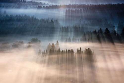 描述特别高兴的句子1