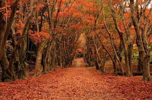 描述特别高兴的句子