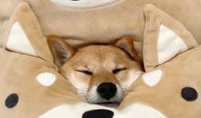 祝愿儿女开心的句子