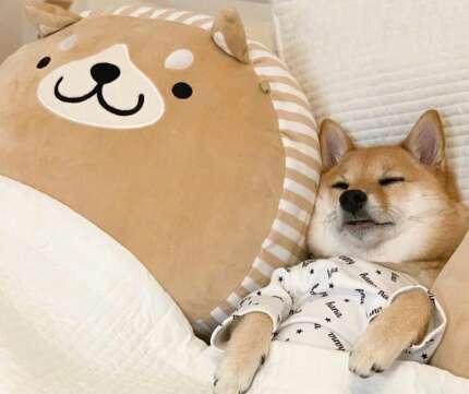 快乐的孩子的句子1