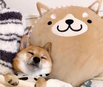 快乐的孩子们的句子2