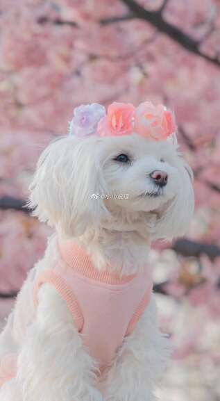 描述与他人开心的句子