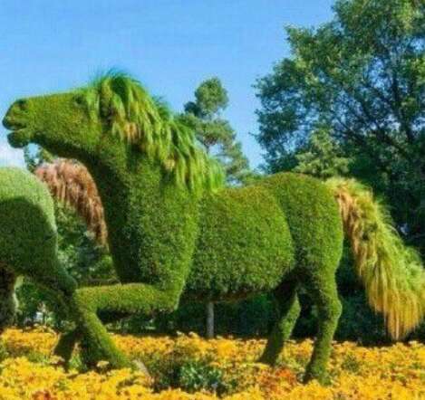 使每个人都开心的句子2