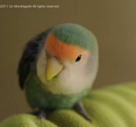 使每个人都开心的句子1