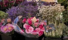 我只要你开心的句子