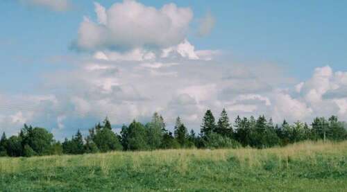 使你开心的句子1