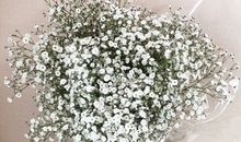 关于开心最重要的句子