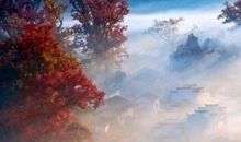 想活的开开心心的句子