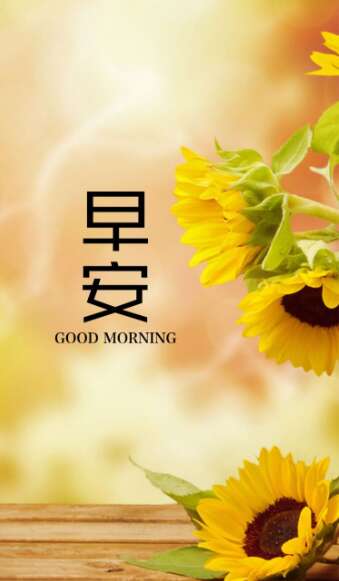 早上好，必须喜欢的问候