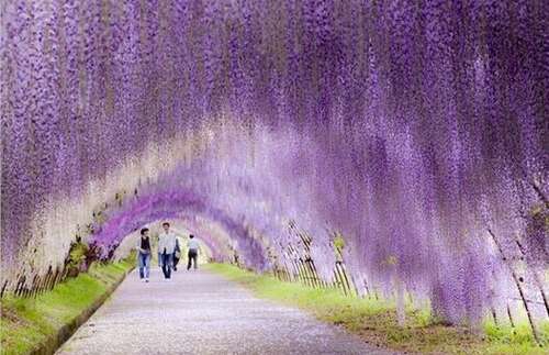 幸福意味着身体健康