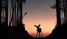 晚安心语正能量