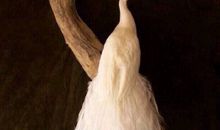 开心嗨皮的一天的句子