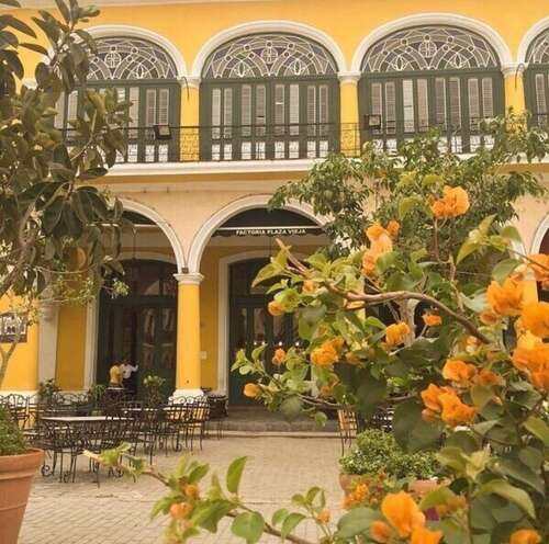 我抬头仰望时遇到的一切都很温柔