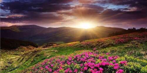 今天和你的女朋友一起玩