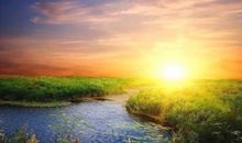 周末又到了开心的句子