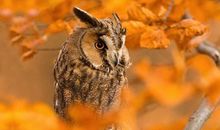 开心一生活着的句子