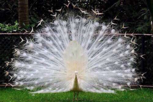 一起玩耍的儿童的句子