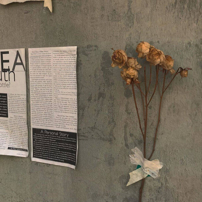 悲伤苦恼的简短句子