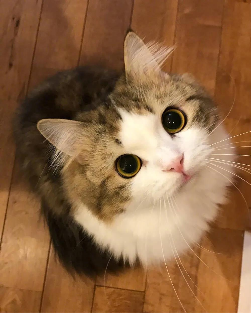 2020年的热门微信名称2